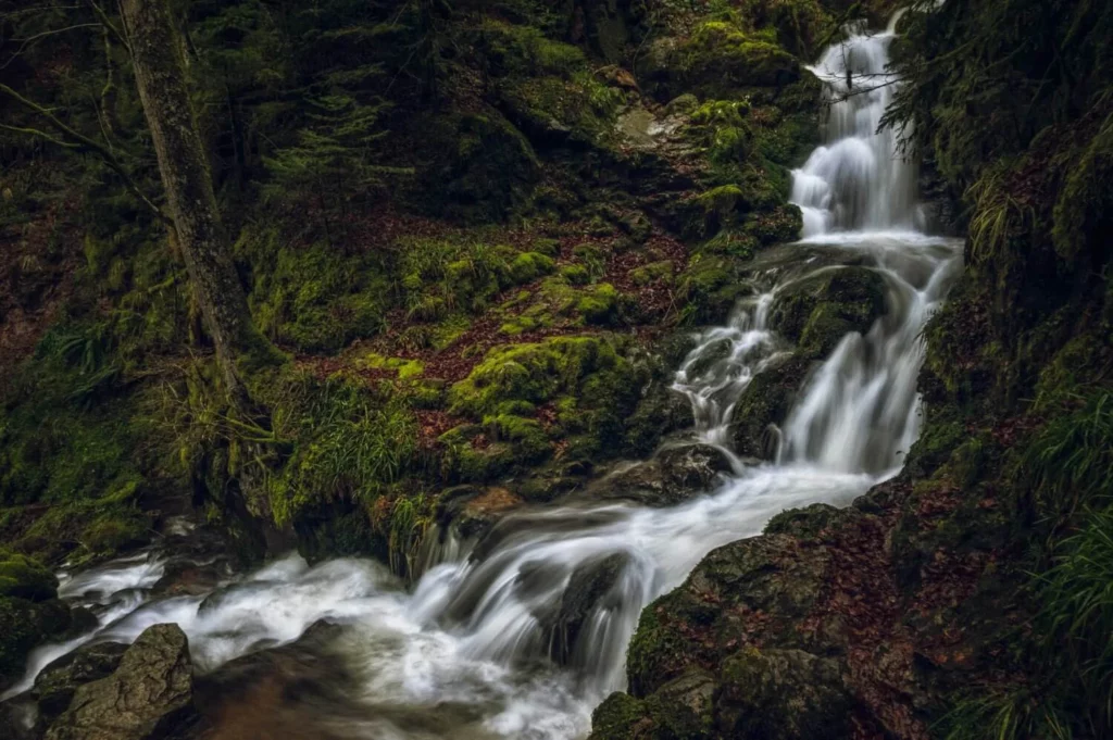 beautiful scenery powerful waterfall forest near mossy rock formations